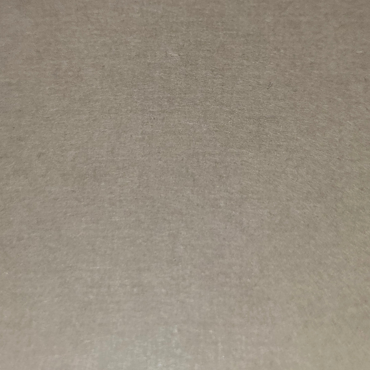 Chamois cardstock sheet 12x12 with textured, speckled surface