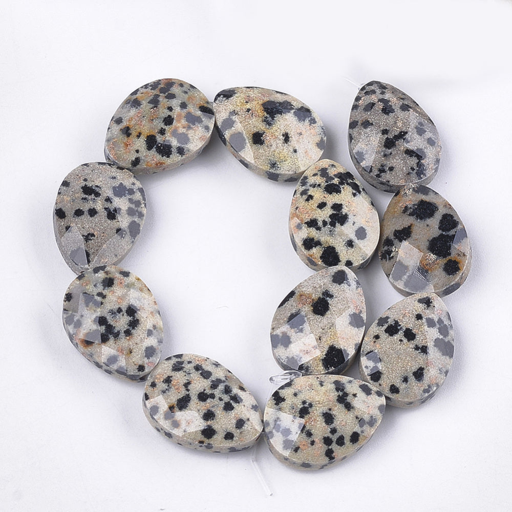 Faceted dalmatian jasper beads strand in a circle, spotted teardrop shapes